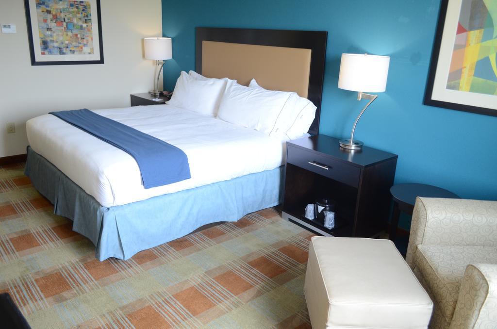 Holiday Inn Express & Suites Houston Northwest-Brookhollow By Ihg Room photo
